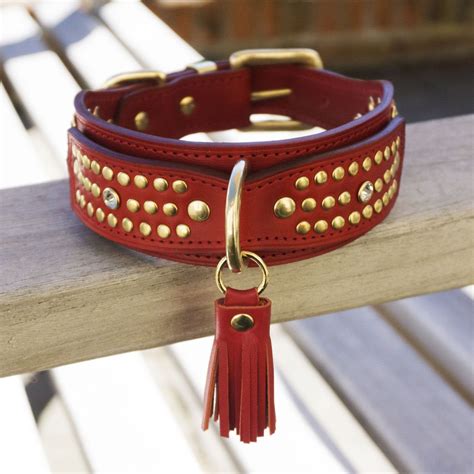 best luxury dog collars.